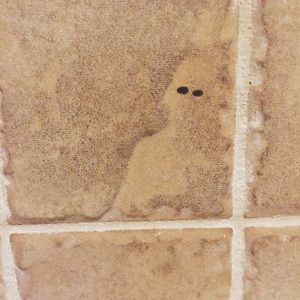 Meet your Posher, Frank